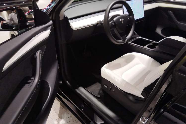 Used Tesla Model Y 2021 Standard Range Rear-Wheel Drive Version
