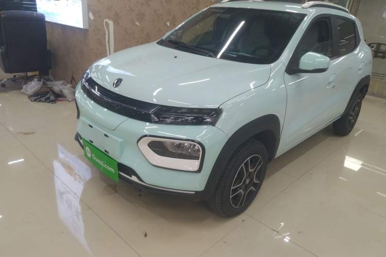 Used Dongfeng NAMMI EX1 2023 PRO Light Wind Edition Lightning Model