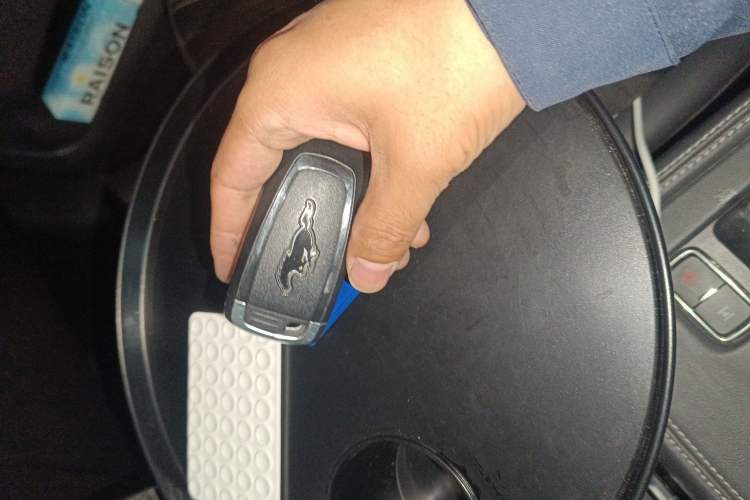 Used Ford Mustang Mach-E 2021 AION Y Plus Rear-Drive Luxury Edition (Long Range)
