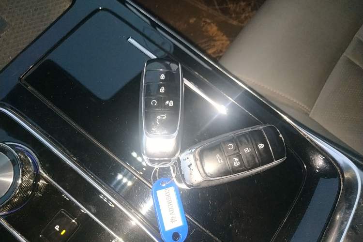 Used AION LX 2019 70
