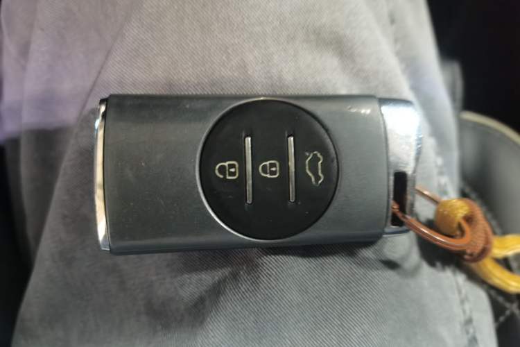 Used EXEED Lanyue 2021 390T Two-Wheel Drive StarRui Edition