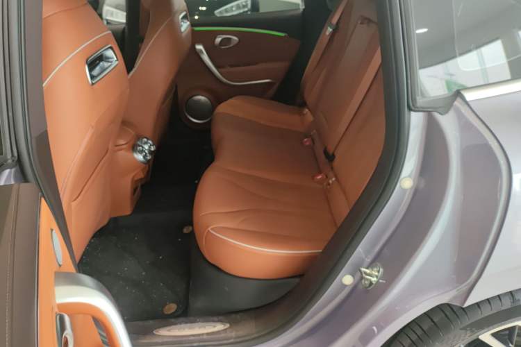 Used ORA Lightning Cat 2022 555 km Luxury Edition
