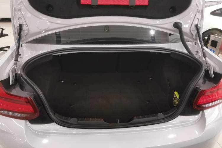 Used BMW M2 2018 M2 Thunder Edition