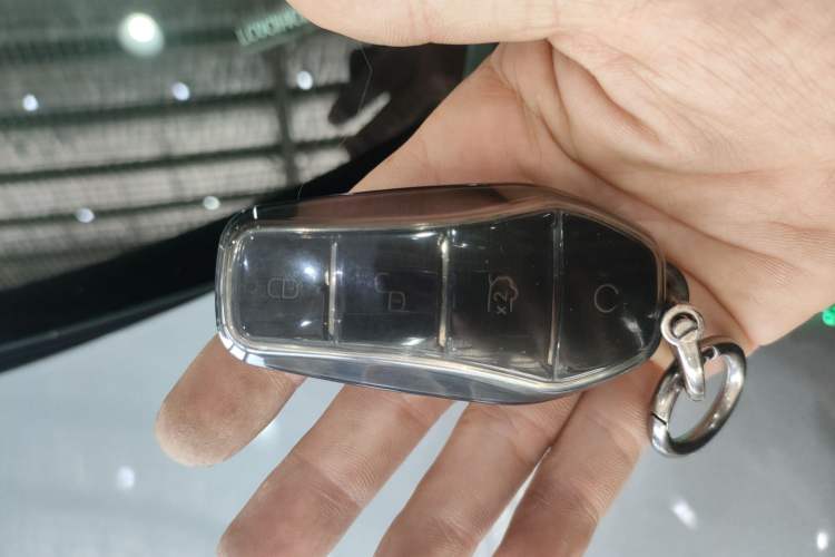 Used BYD Song L EV 2024 550 km Excellence Version