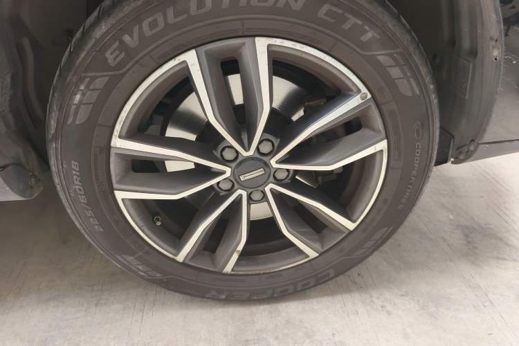 Used Wey VV5 2021 1.5T Two-Wheel Drive Color Pioneer