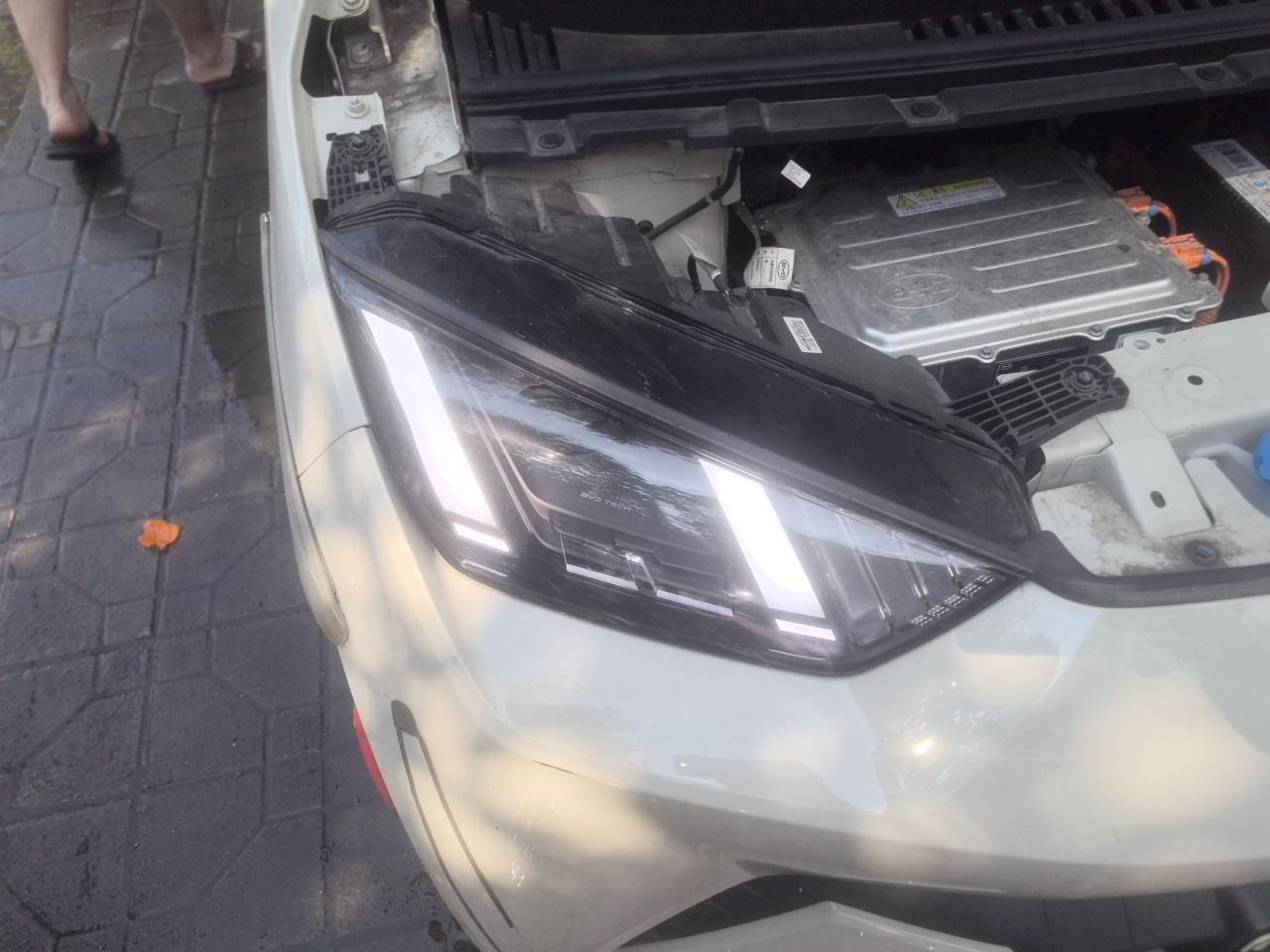 BYD Seagull 2025 405 km Flying Edition — снимка 7