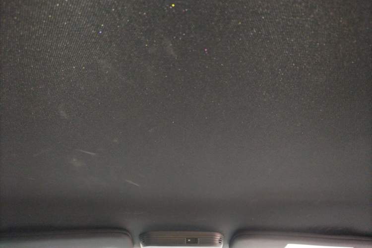 Used Ford Mustang 2019 2.3L EcoBoost Performance Enhanced Edition Headliner