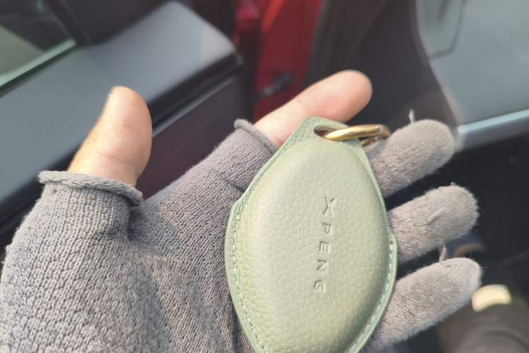 Used XPeng P7 2020 586N
