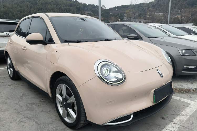 Used ORA Good Cat 2023 401 km Standard Range Luxury Version Ternary Lithium
