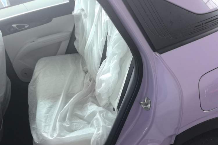 Used Geely Galaxy Geome 2026 Model 310km Dream Edition Left Rear Seat