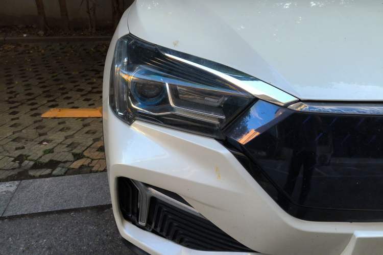 Used Venucia T60EV 2020 AI Enjoyment Model