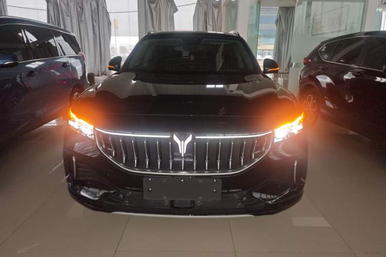 Used VOYAH FREE 2021 Four-Wheel Drive Standard Range-Extended Version
