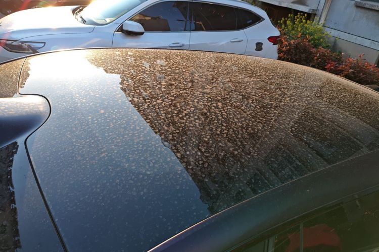 Used Avatr 07 2026 Elite Range-Extended Version Roof