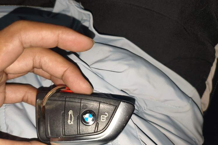 Used BMW X1 New Energy 2019 xDrive25Le Luxury Model