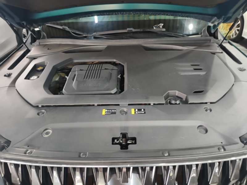 Used GAC Trumpchi GS8 2022 Dual-Engine Series 2.0TM Two-Wheel Drive Prestige Edition (7 Seats) — 20
