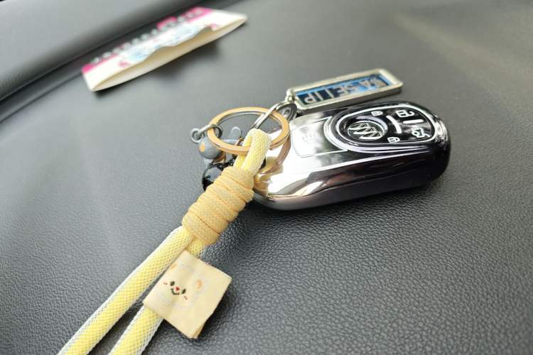 Used Buick Regal 2019 20T Elite Version China V Standard
