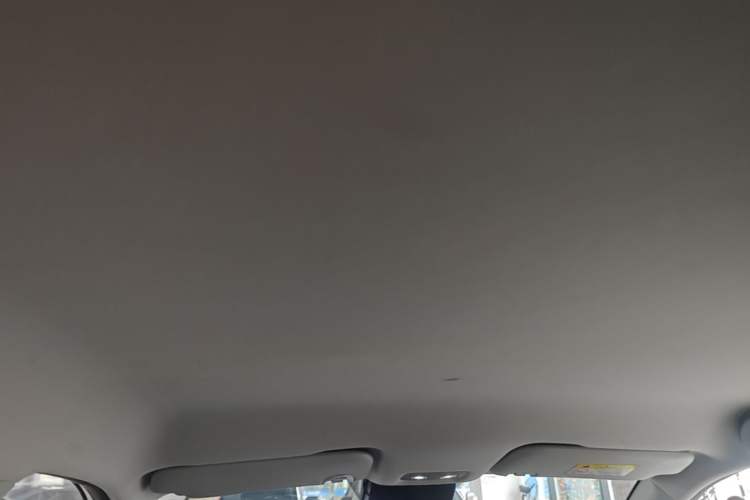 Used NETA V 2021 Long-Range Entertainment Edition Upgrade Model
