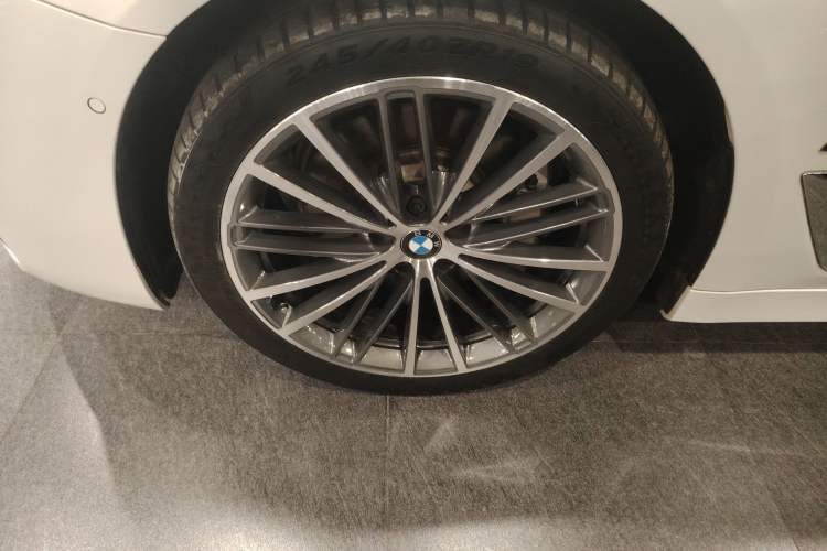 Used BMW 5 Series New Energy 2019 530Le Luxury Package