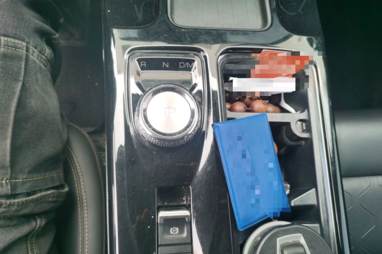 Used Haval DARGO 2022 2.0T DCT 4x4 Chinese Rural Dog Edition
