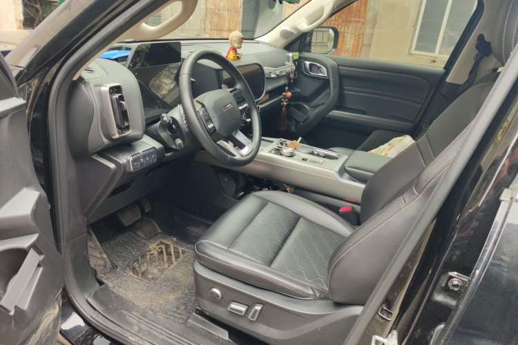 Used Haval DARGO 2024 2.0T DCT Chinese Rural Dog Edition