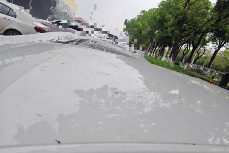 Used Volkswagen Polo 2023 Revised Plus 1.5L Automatic – Enjoy Life Edition Roof