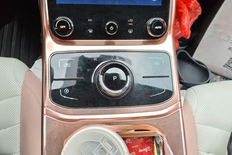 Used NETA U 2022 NETA U-Ⅱ 500 Lithium Iron Phosphate