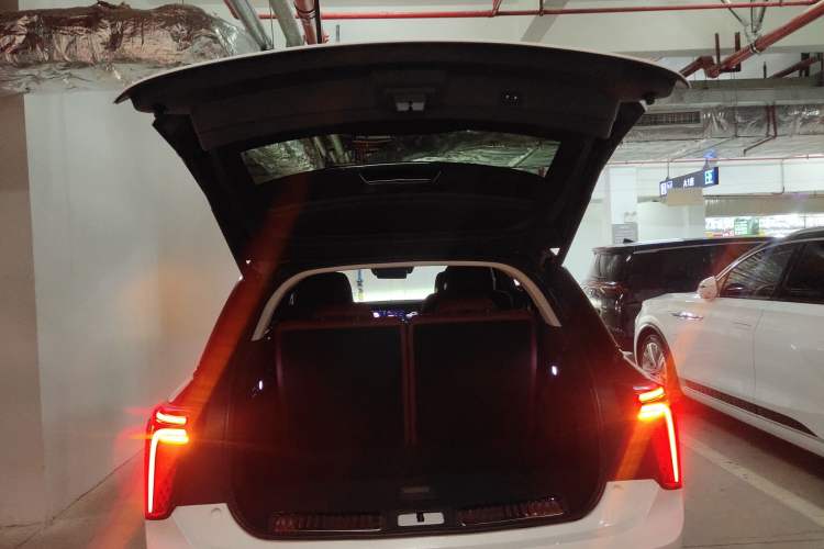 Used Hongqi E-HS9 2022 660 km Range Flagway Edition Six Seats Trunk