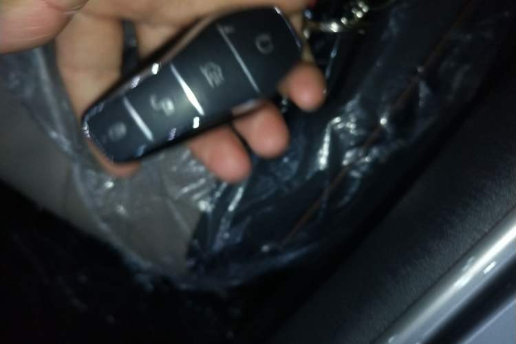 Used BYD Dolphin 2025 420km Free Edition