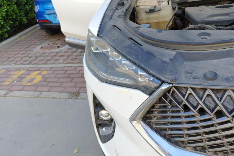 Used Haval F7 2021 2.0T Two-Wheel Drive i-Van