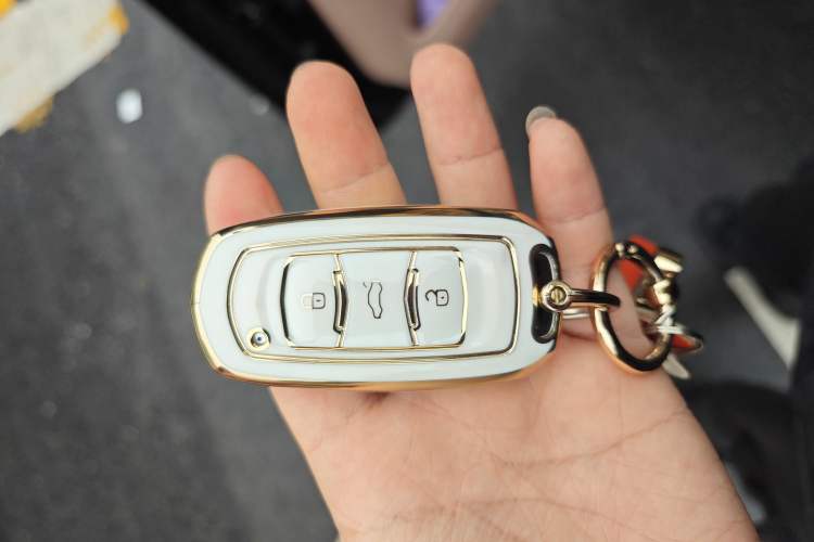 Used Geely Galaxy Panda 2024 200km Panda Kart Vehicle Key