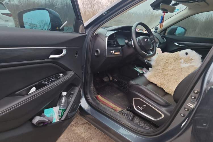 Used Geely Auto Monjaro 2020 High-Energy Edition 350T Yáoxīngzhě Driver Seat