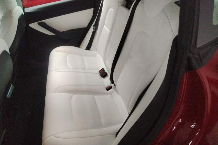 Used Tesla Model 3 (Import) 2019 Long-Range Rear-Wheel-Drive Version