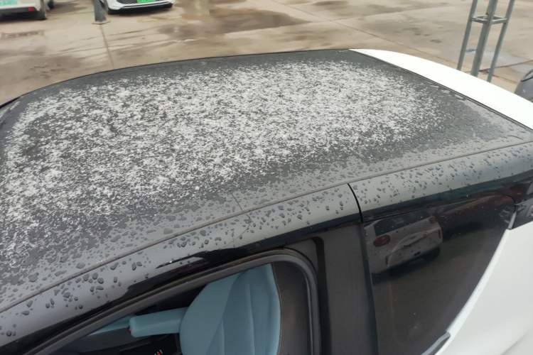 Used Chery Little Ant 2023 251km True Love Edition Lithium Iron Phosphate
