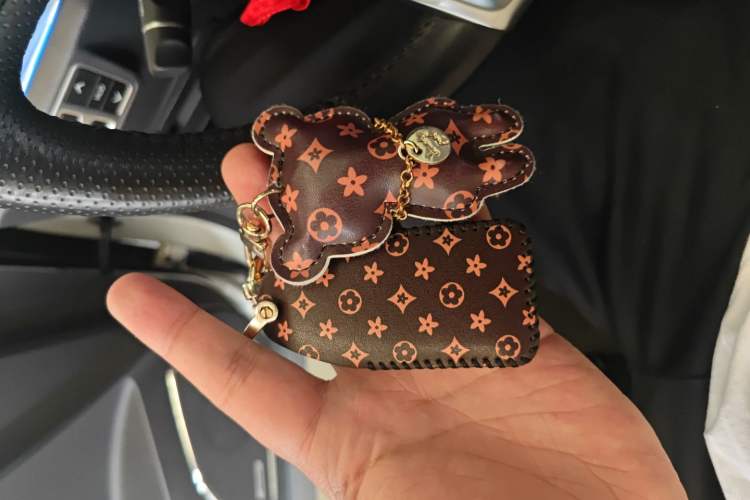 Used Hongqi HS5 2019 2.0T Smart Connect Flagship Edition