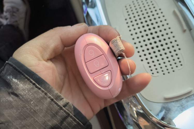 Used ORA Ballet Cat 2023 401 km Luxury Version