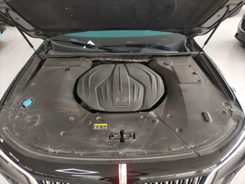 Used Hongqi H9 2020 2.0T Smart Connect Flagship Edition – Chinese Trim Chang — 19