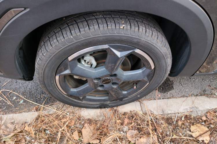 Used BYD Seagull 2023 Free Edition