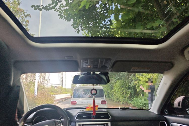 Used Haval H6 Coupe 2016 Blue Label 1.5T Automatic Two-Wheel Drive Elite Model
