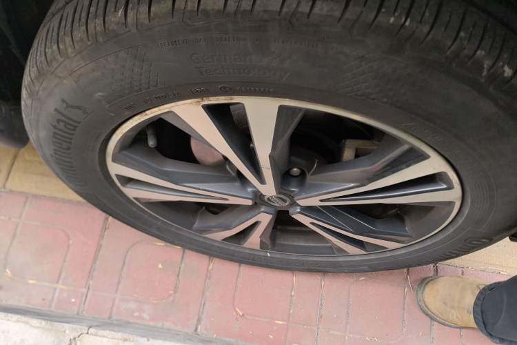 Used Nissan X-Trail 2019 2.5L CVT Smart Connect Luxury Edition 4WD
