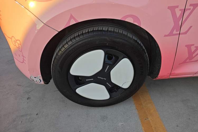 Used Qiyuan Lumin 2023 205km Xiangqin Version
