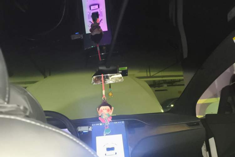 Used Tesla Model X 2019 Long-Range Version