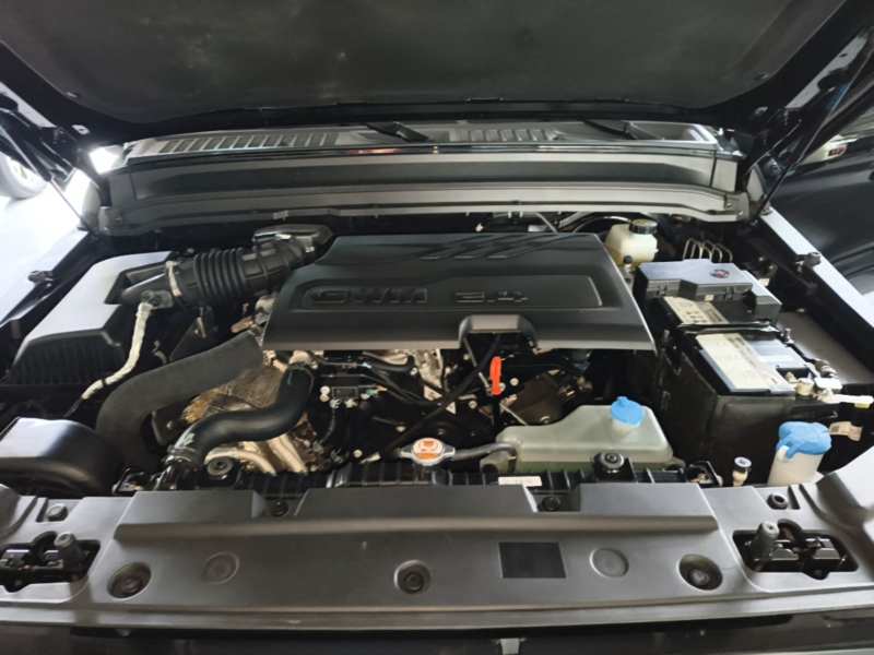 Used Tank 300 2025 2.4T Diesel Version — 19