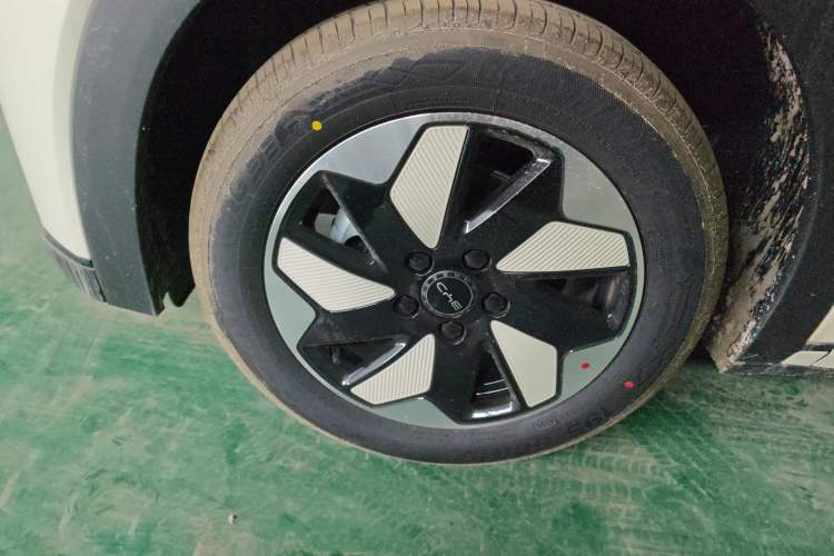 Used BYD Dolphin 2025 420km Free Edition