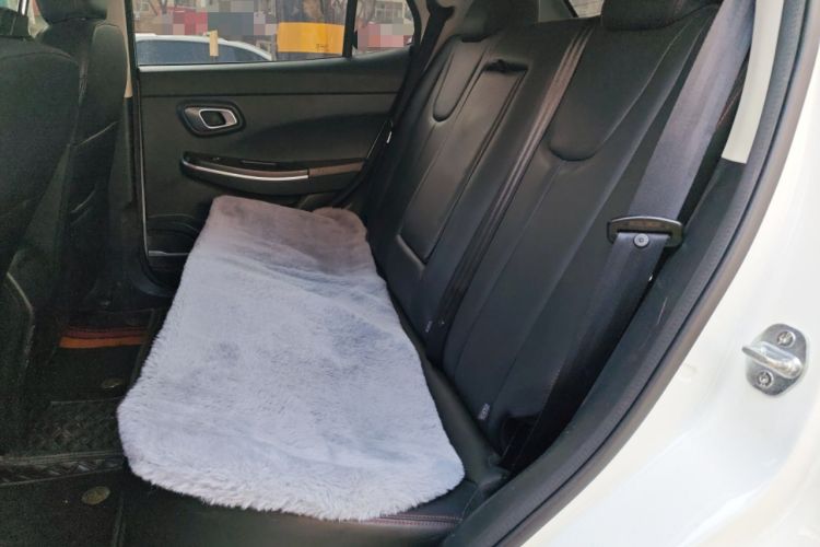 Used Dayun Yuehu 2021 32.85 kWh Two-Wheel-Drive Sprite Version
