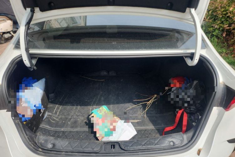 Used Buick Verano 2023 Pro GS Hunter Wind Edition Trunk