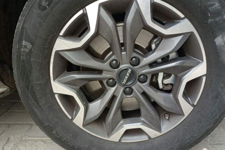 Used Haval DARGO 2022 2.0T DCT 4x4 Chinese Rural Dog Hunting Edition