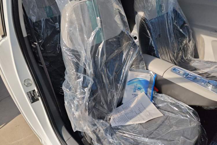 Used Qiyuan Lumin 2025 205 km Xiangqin Version
