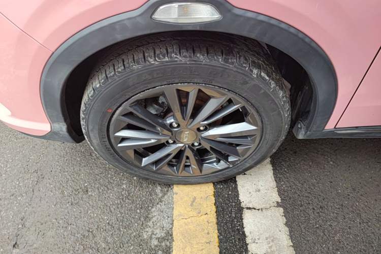 Used NETA V 2022 Chao 400 Lite Pink Custom Edition Exterior 4