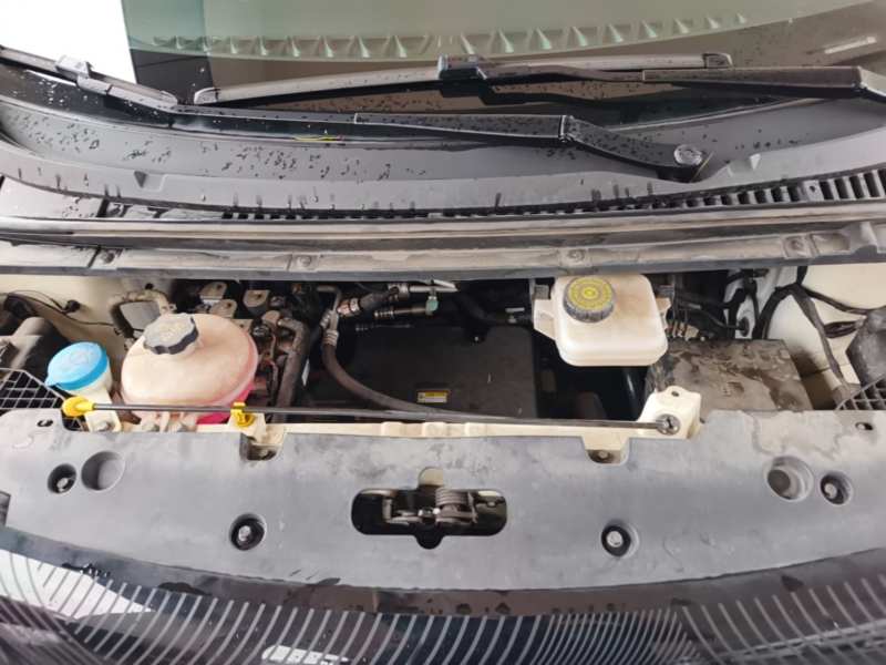 Used BYD Dolphin 2021 405 km Fashion Edition — 19