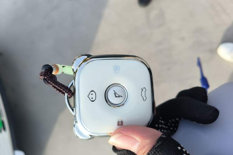 Used Cowin October 2026 Model Mate 305km Guoxuan Wind-Chasing Edition
